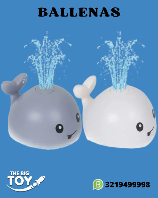 BALLENAS SPLASH